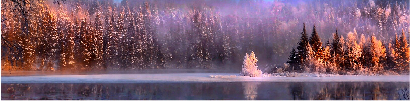 Procedimento cirurgico